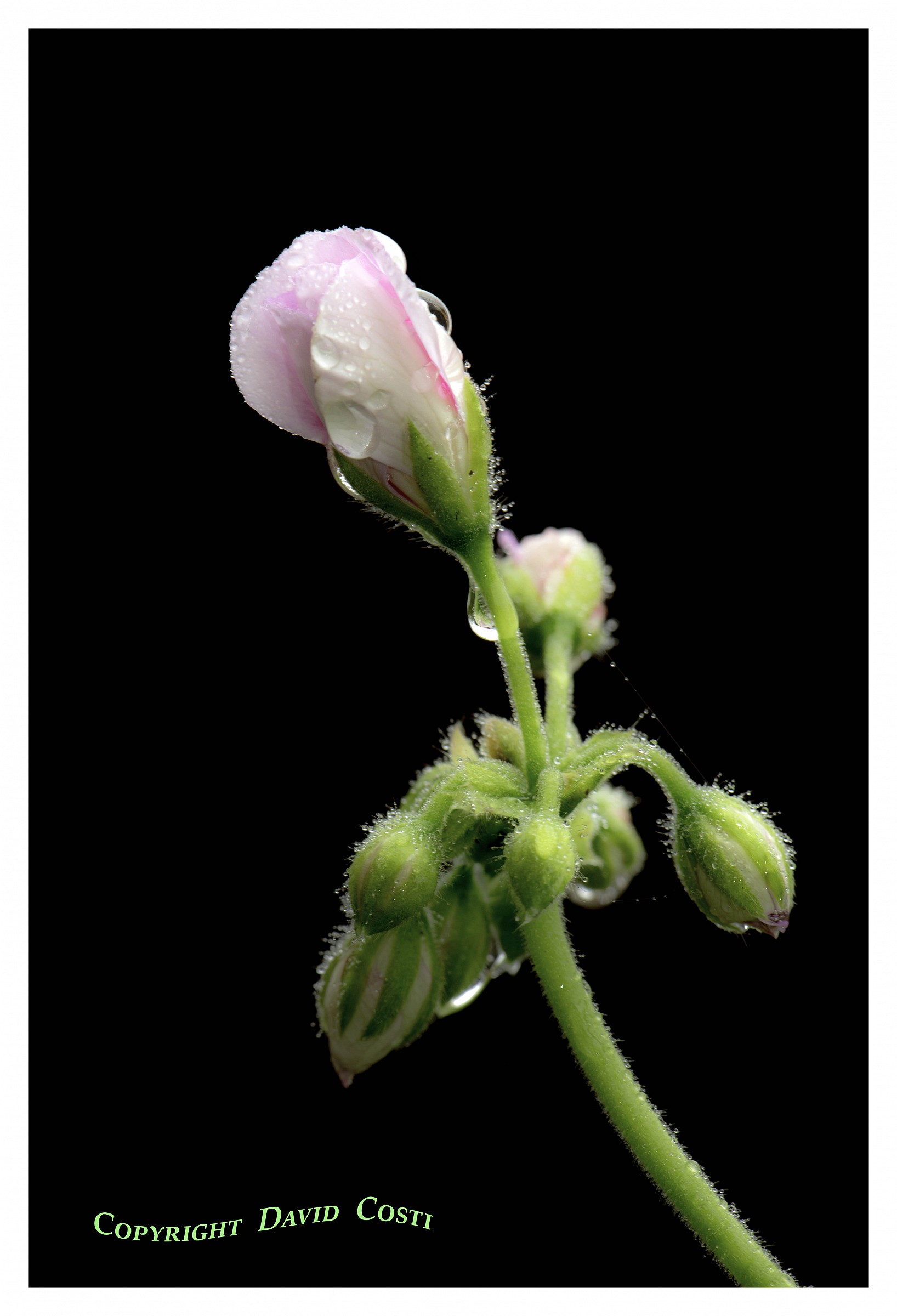 Anche per te è arrivato l'autunno