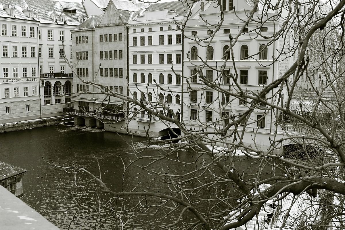 Overlooking the Vltava