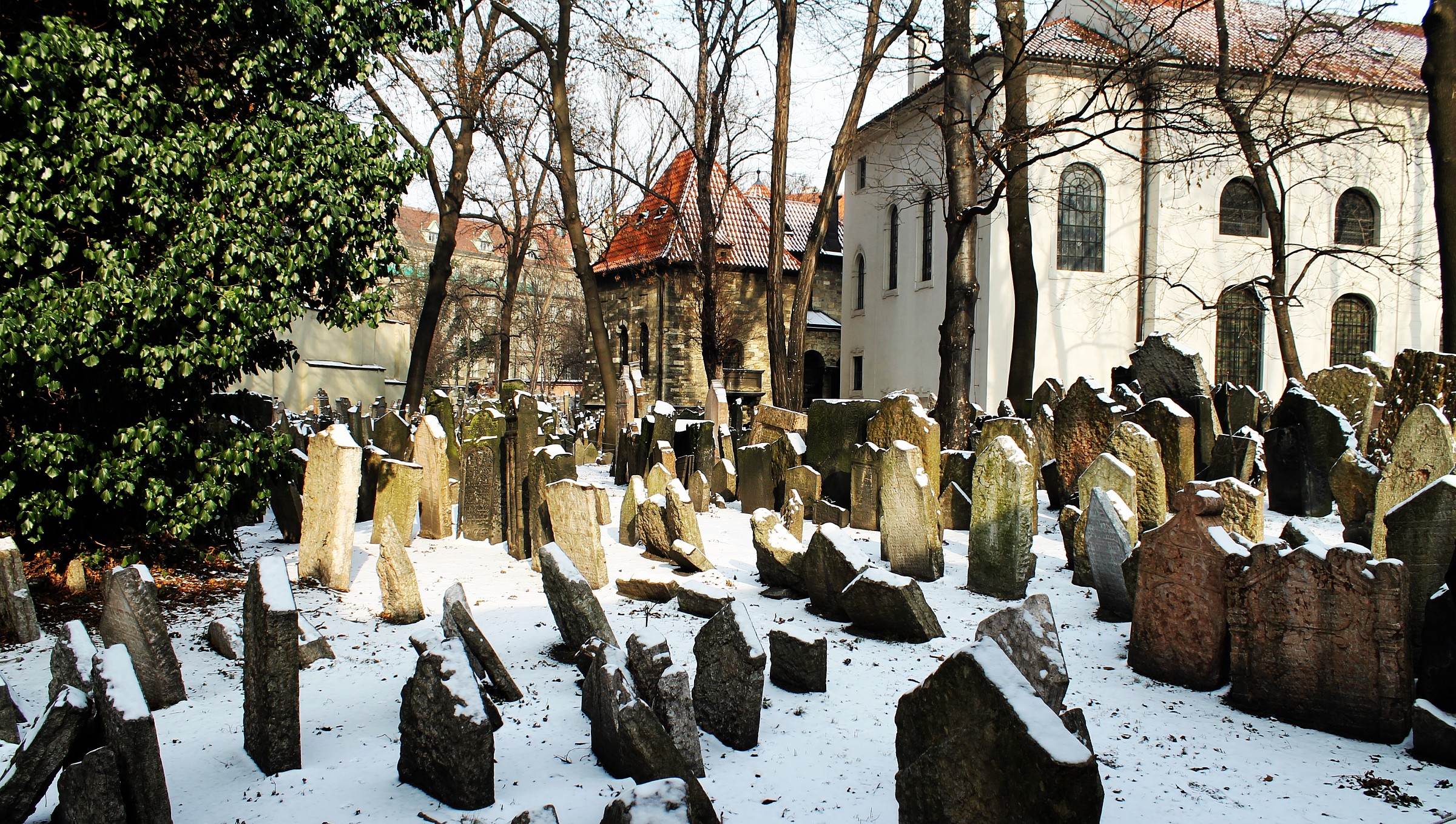 The Jewish Cemetery in Prague