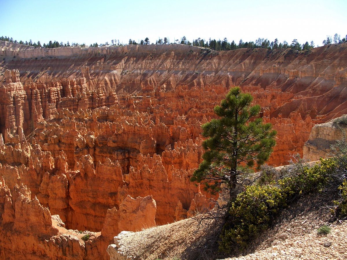Bryce Canyon