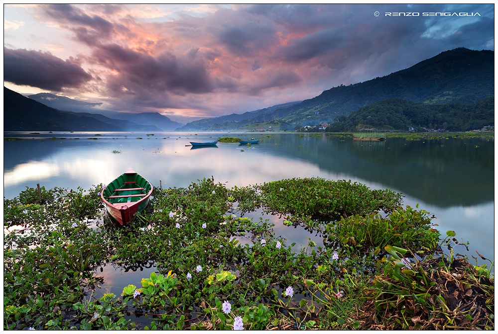 Lake Phewa Tal Pokhara