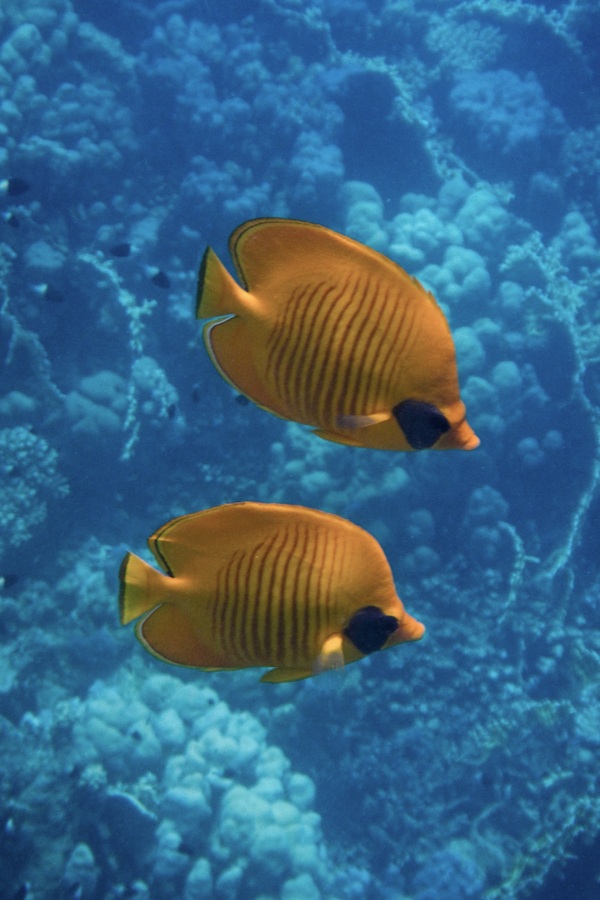 Insieme si sta meglio!