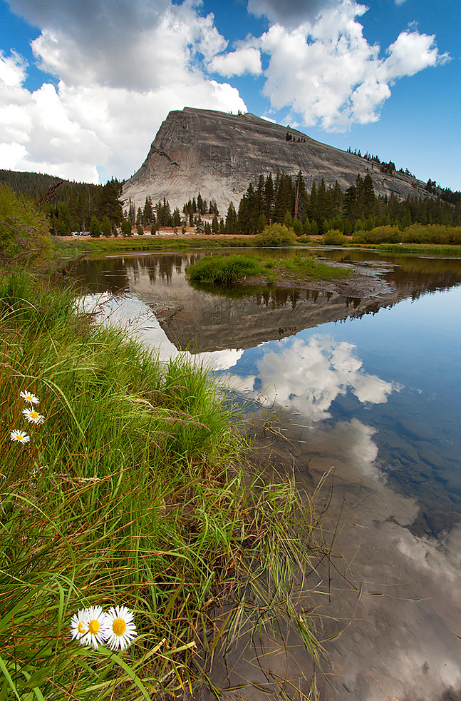 Yosemite National Park