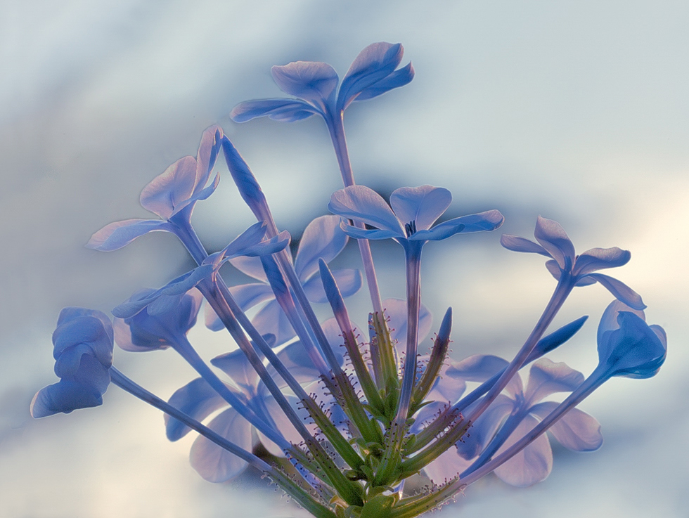 Guardando il giorno che muore