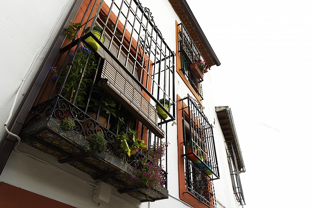 houses in cordoba