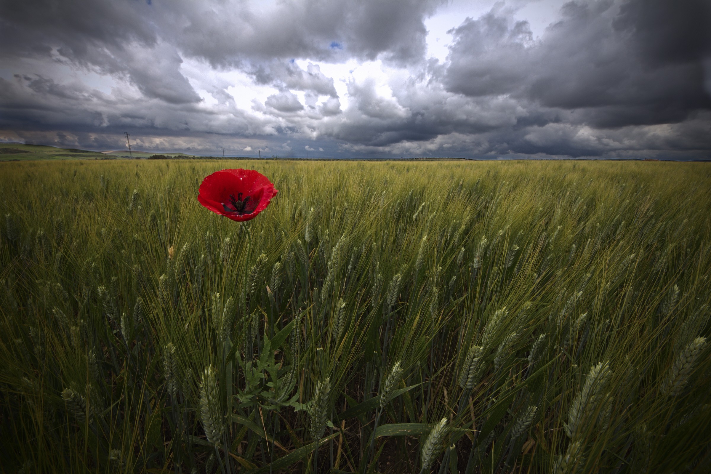 That want be something different ...