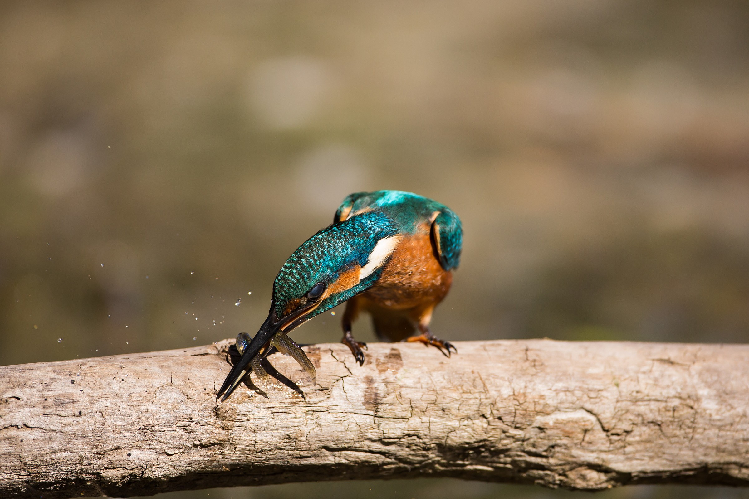 and two better than one.