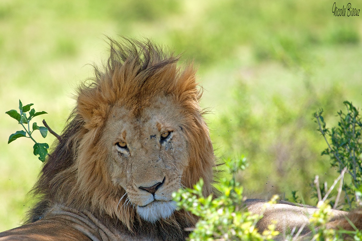 Questo è il mio territorio