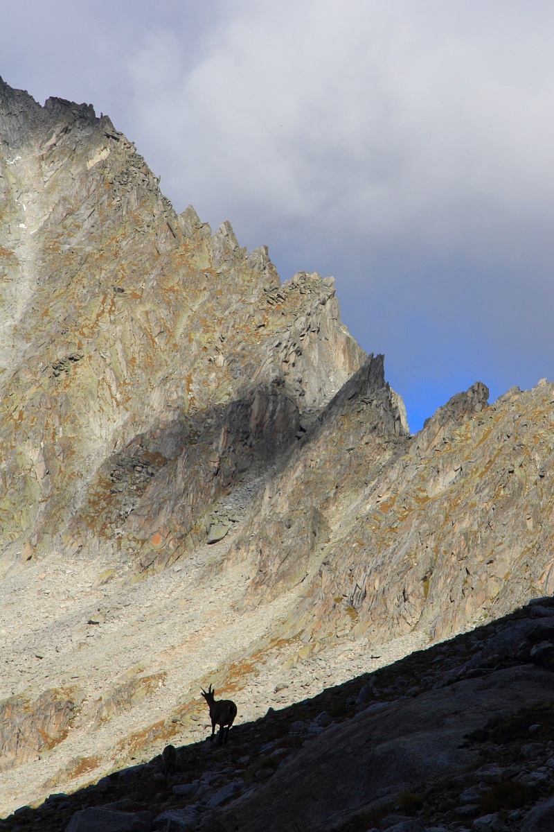 Verso il passo Adamello