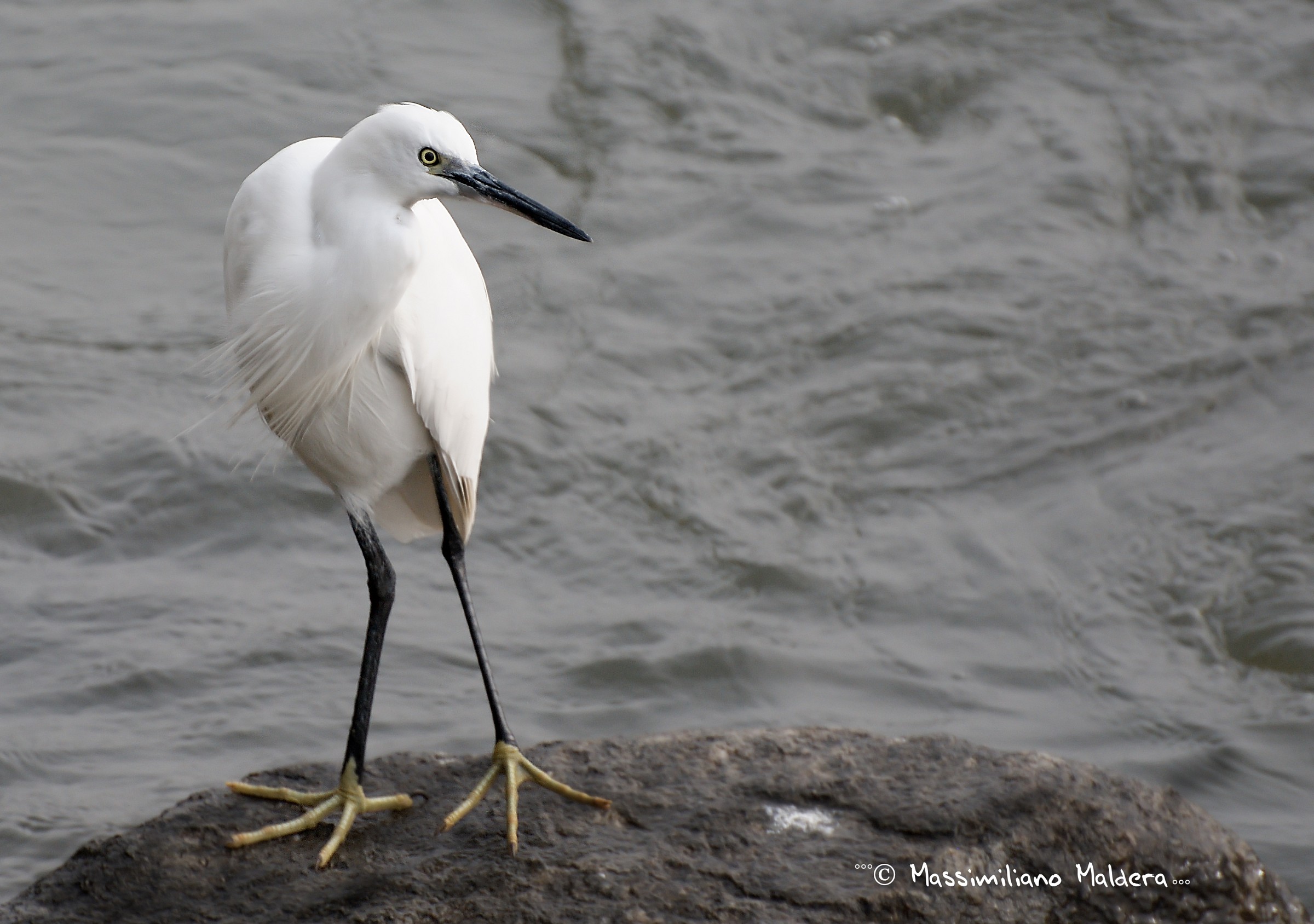 bhe!!mi metto in posa???