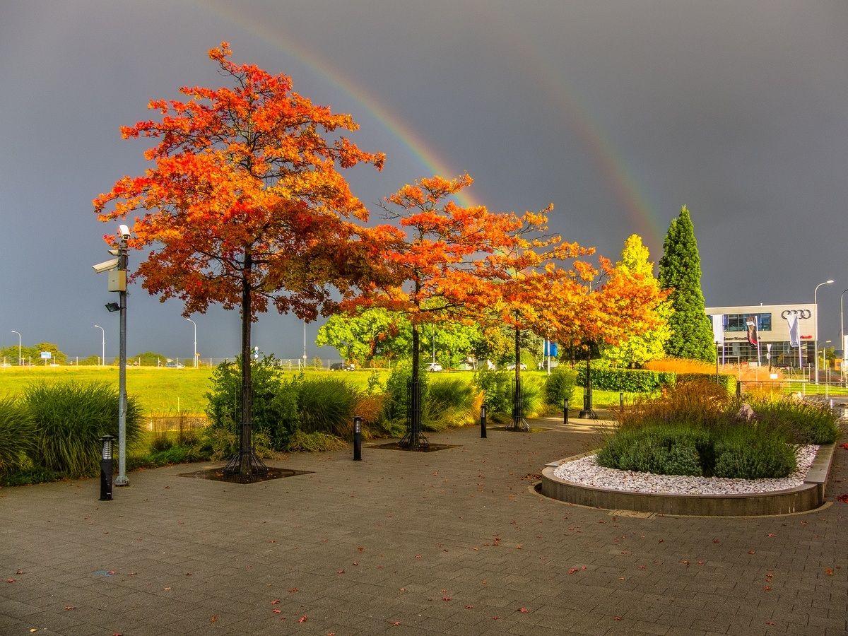 Ginevra - Fuori sede