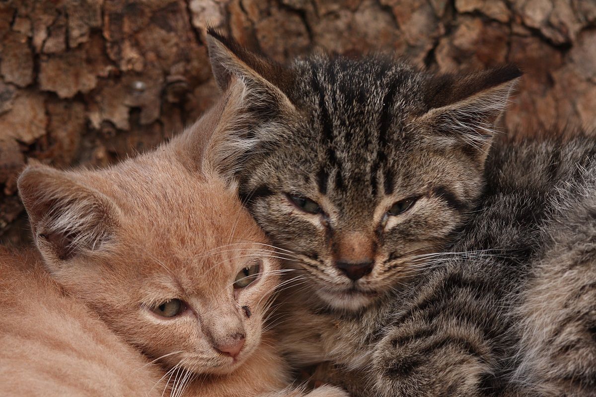 How this breaks here!