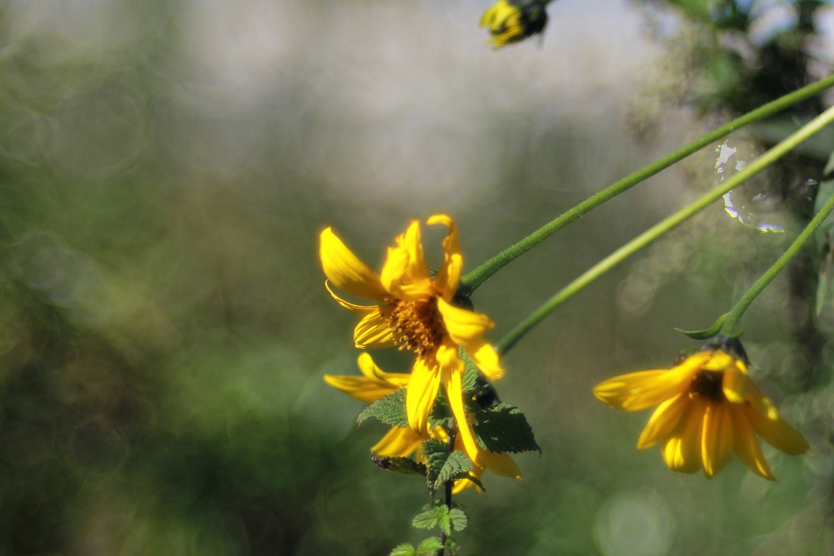 ho resistito ad una tempesta