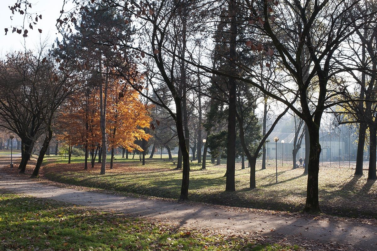 another sunny day ...