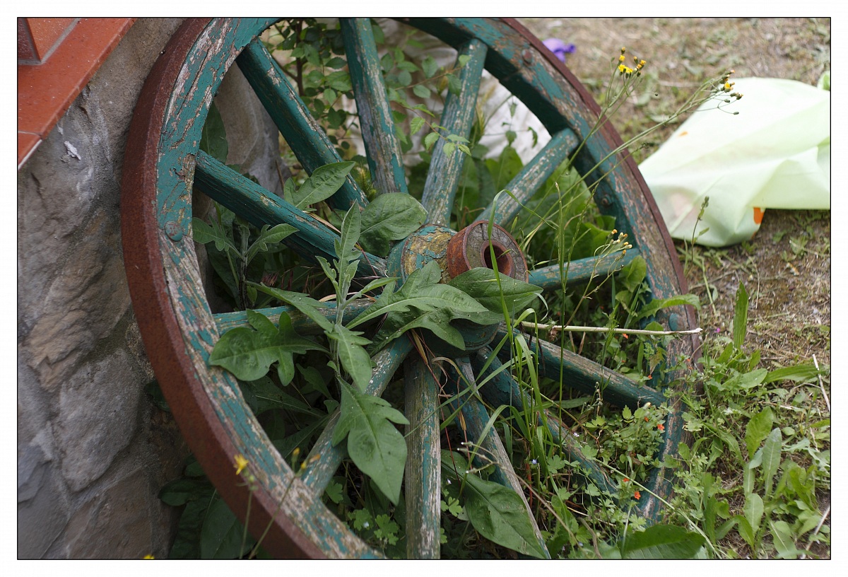 l'ultima ruota del carro