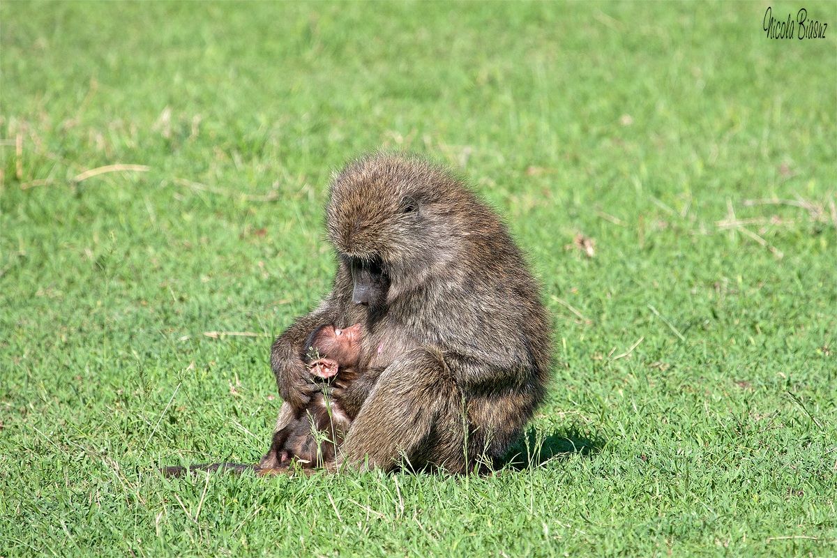 Beings like us .. indeed .. most of us