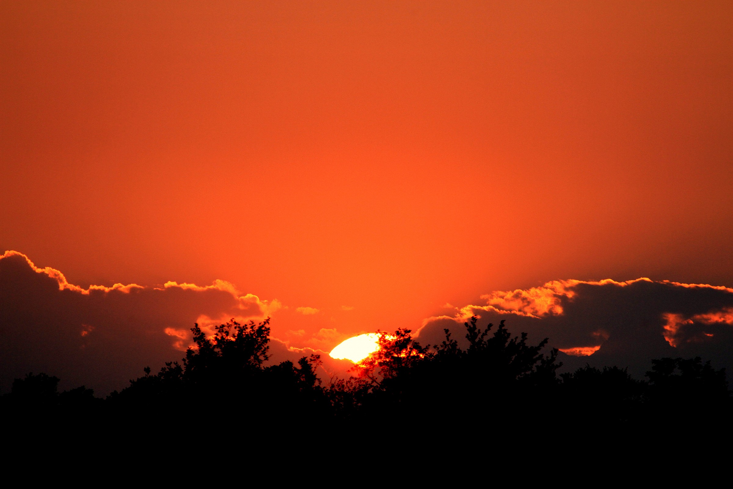 The colors of the sun