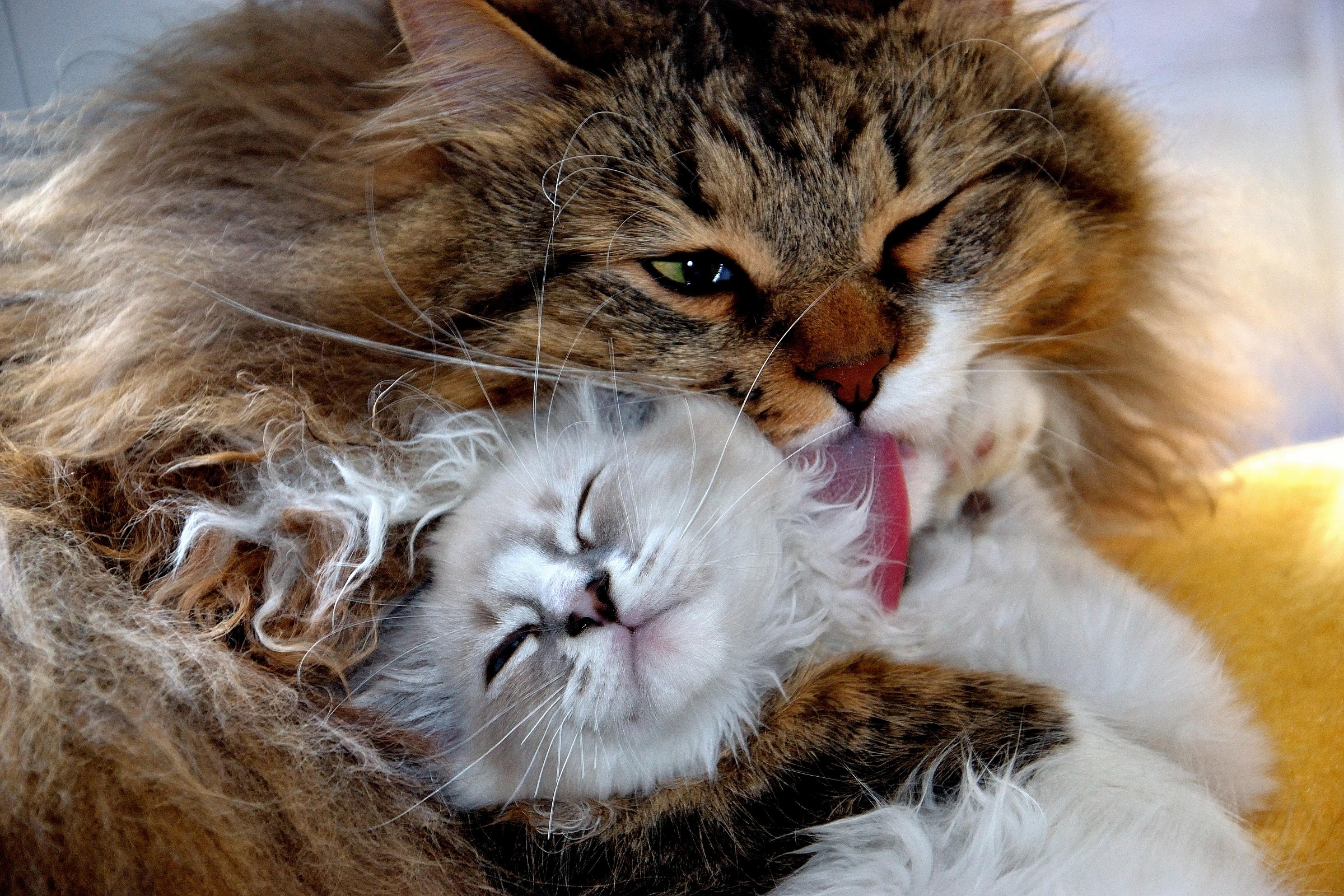 Un attimo di amore...