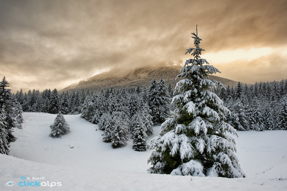 Squarci di luce di inizio inverno.......