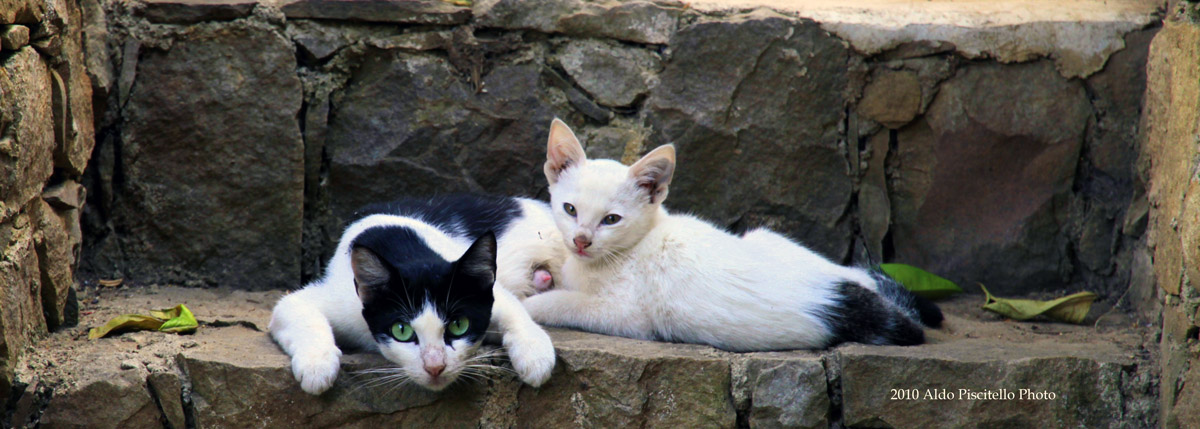 The maternal instinct of the mother while nursing