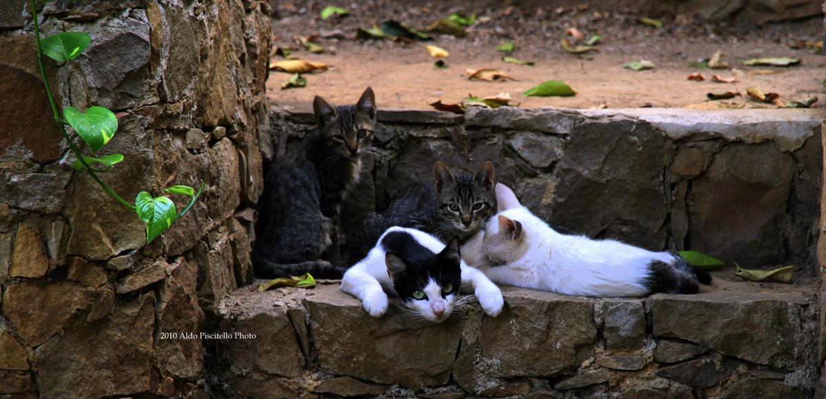 I approach to do the photos and there is tension