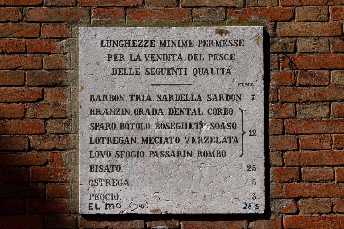 Regolamento a Rialto