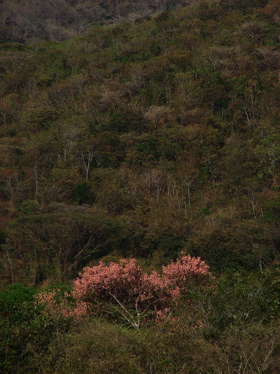 Not everything is smooth