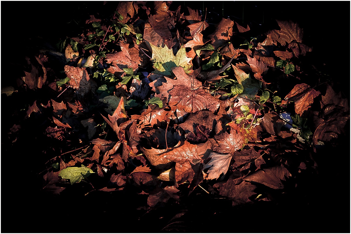 I colori dell'autunno