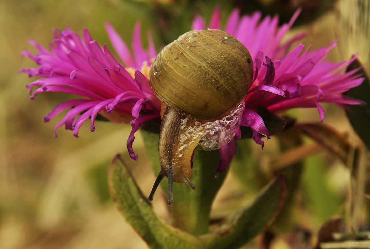 it's time to get down