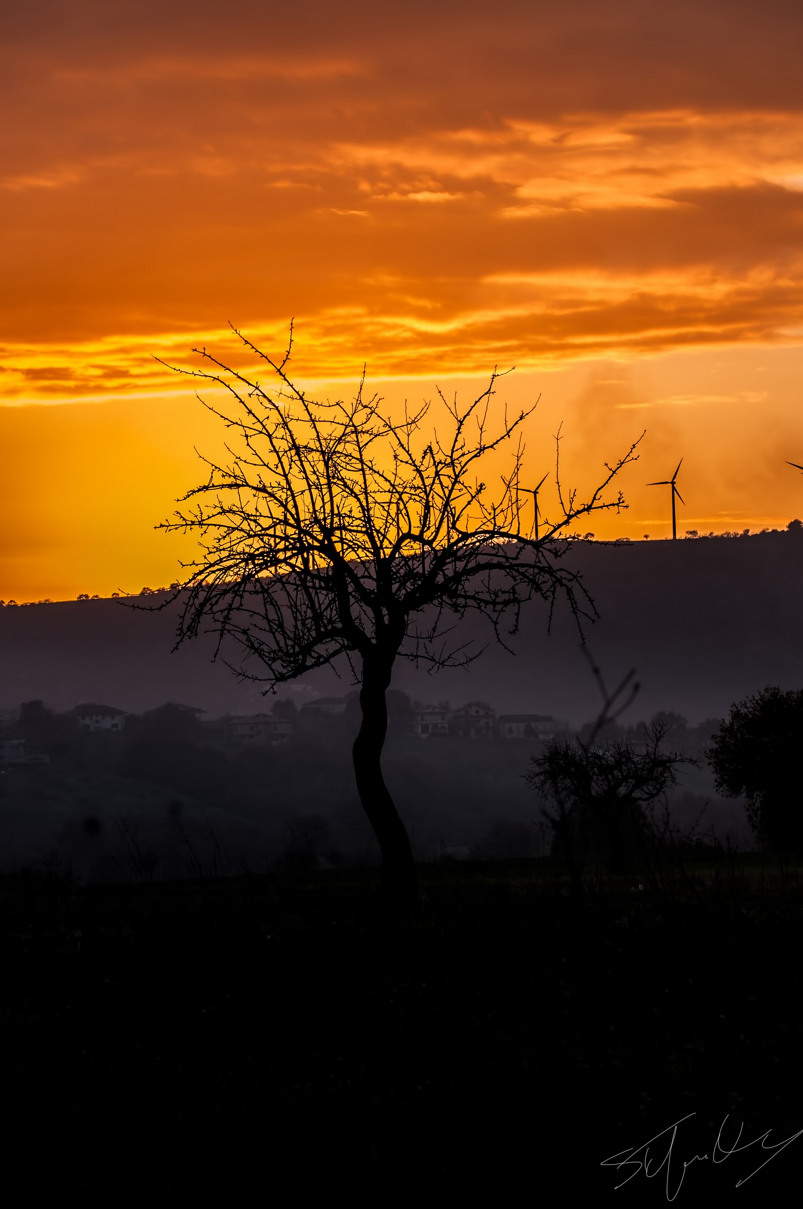 Tribute to my land 2