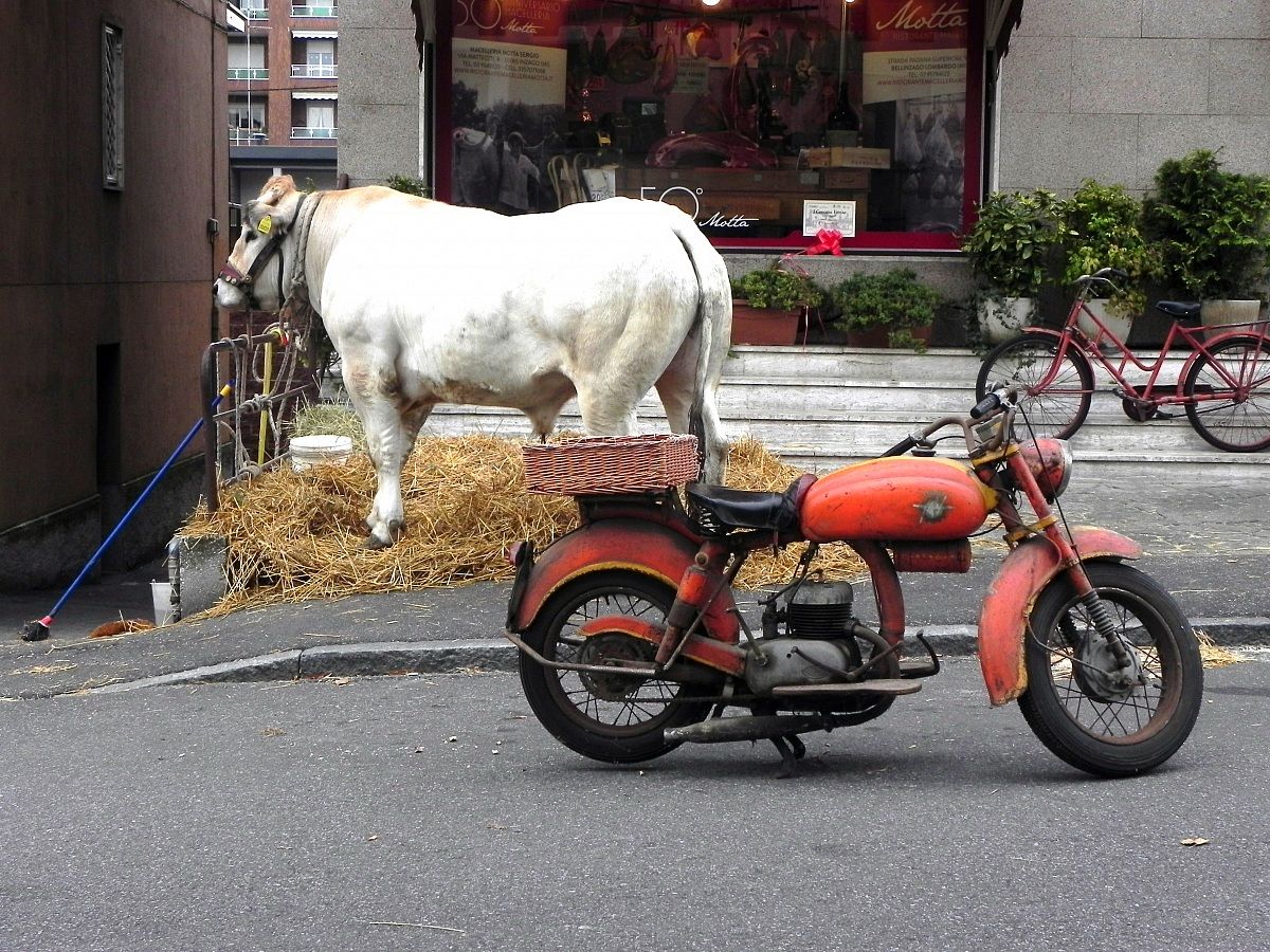 Parcheggio attrezzato per vari mezzi