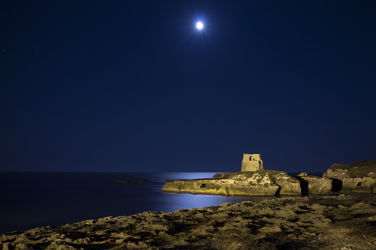 Sentinella al chiaro di luna