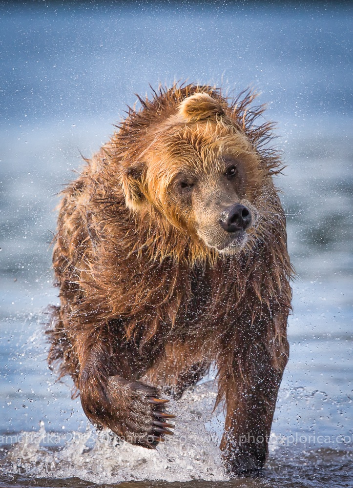 La Corsa - Kamchatka 2013