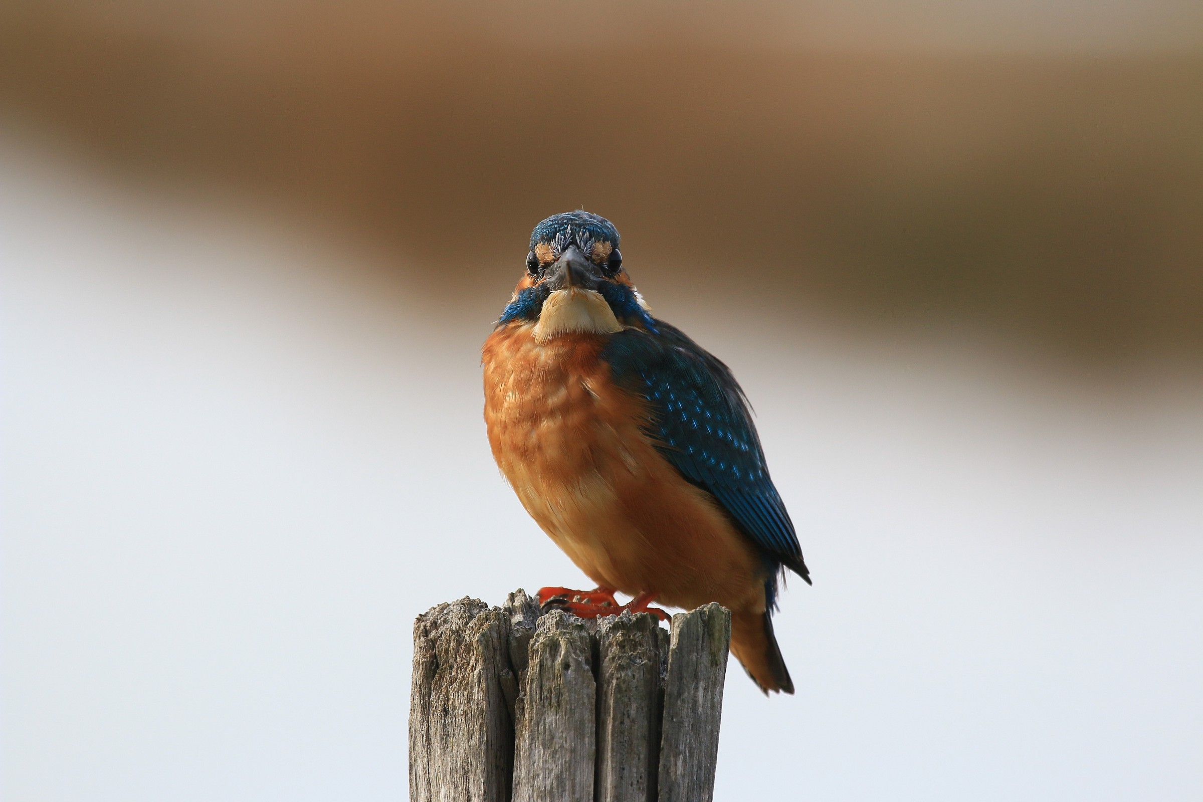 Martin's eyes on me''''