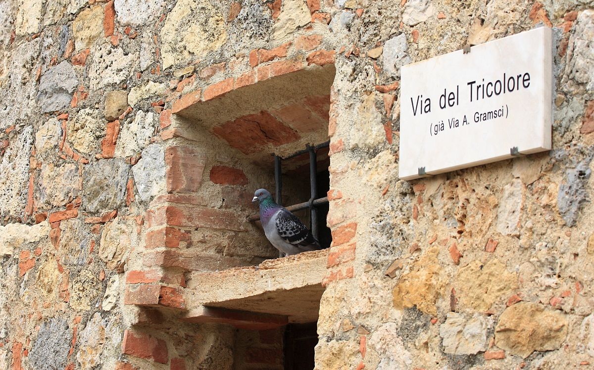 La sentinella del Tricolore - Monteriggioni