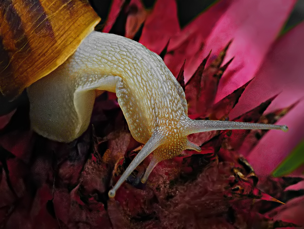 Una strada difficile