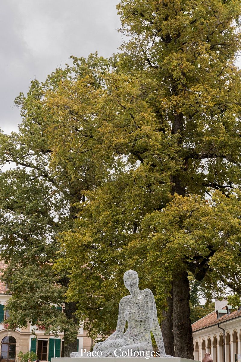 Donna nel vedere attraverso a Cologny