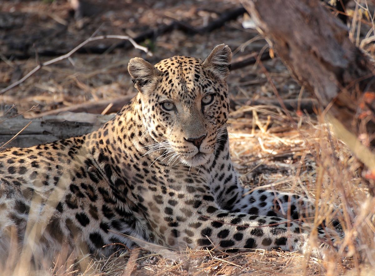 I'm watching you ...