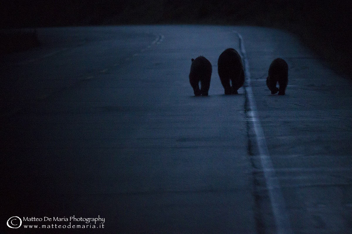 Sulla strada del ritorno