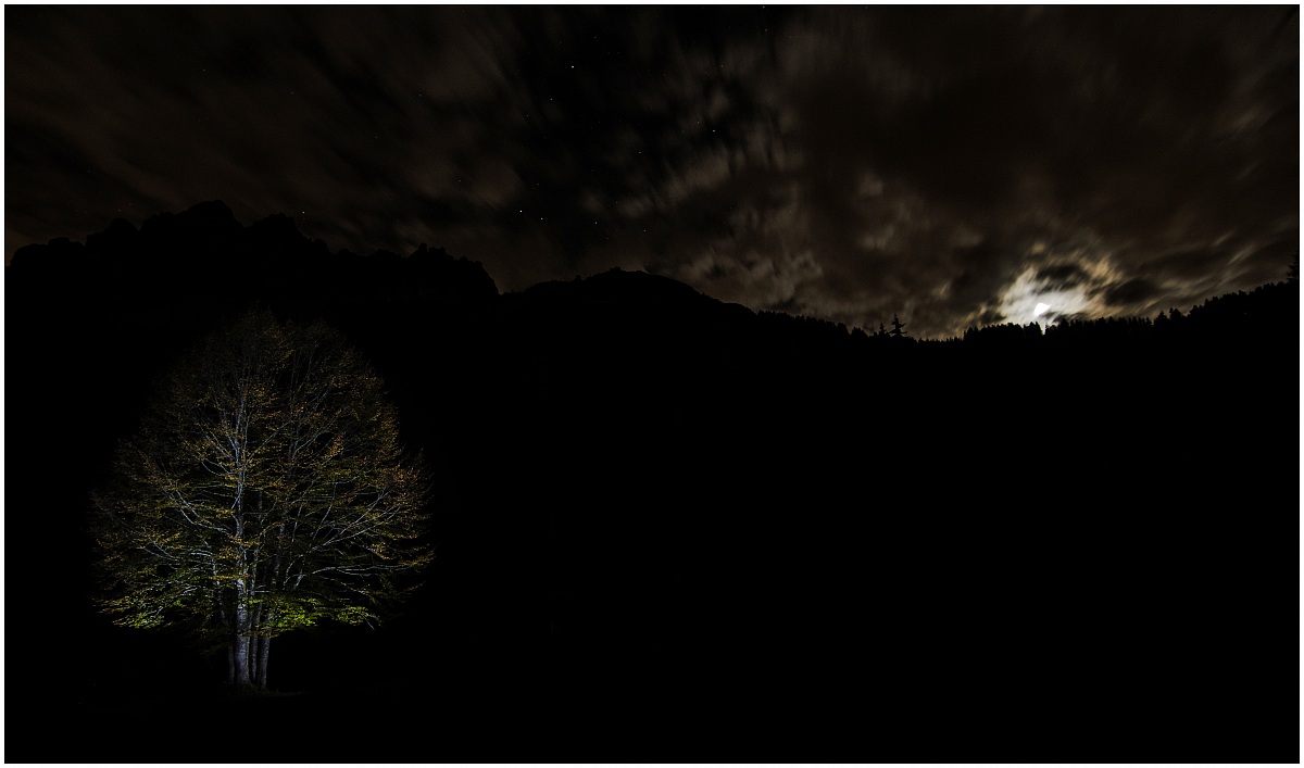 Timid rays of the moon