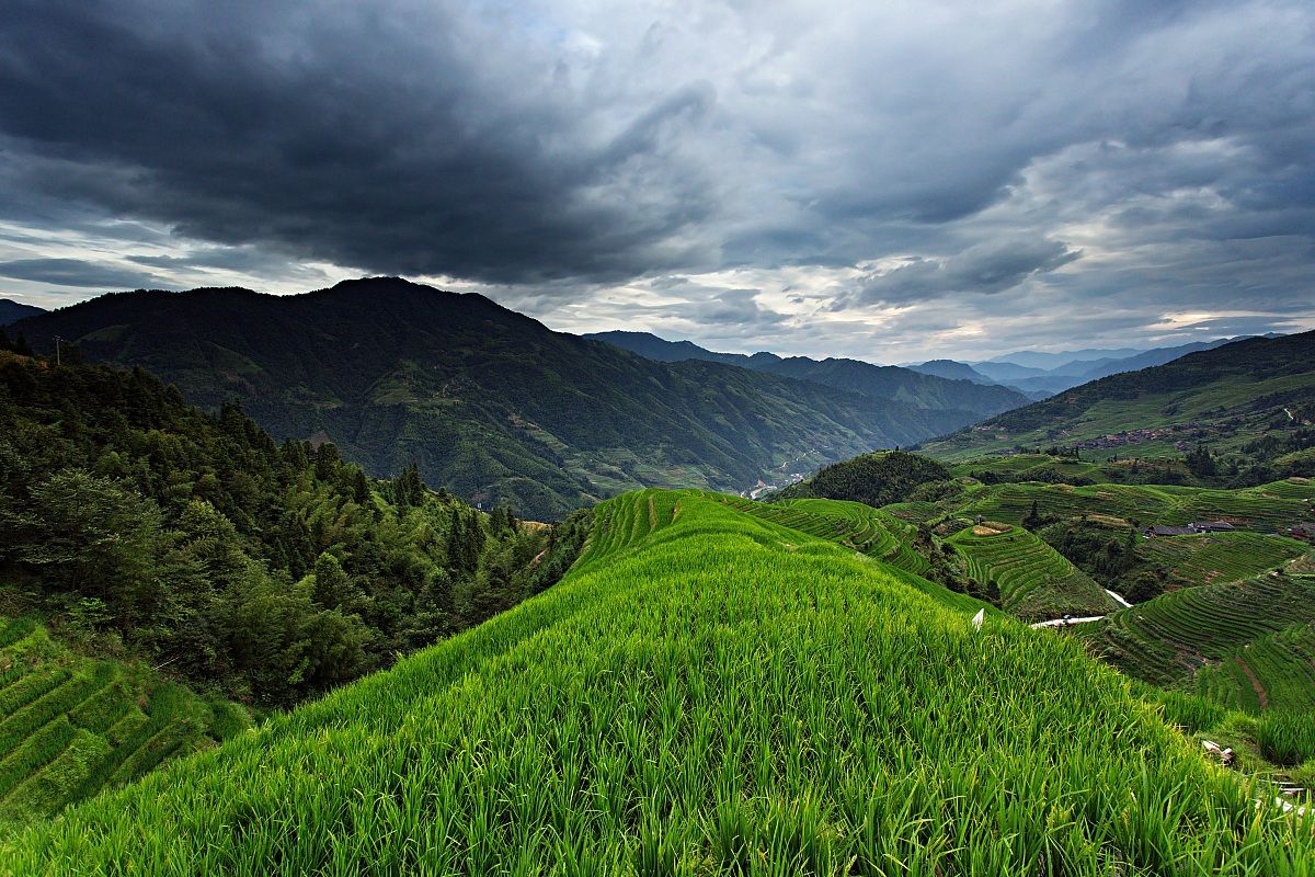 Longji rice terrace, Guangxi, China