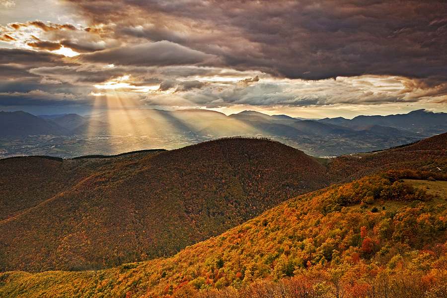 suggestioni autunnali