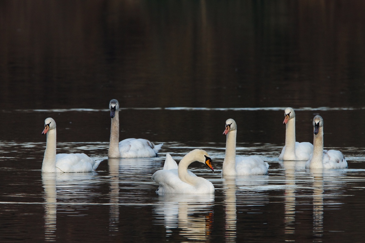 In gruppo con giovani...