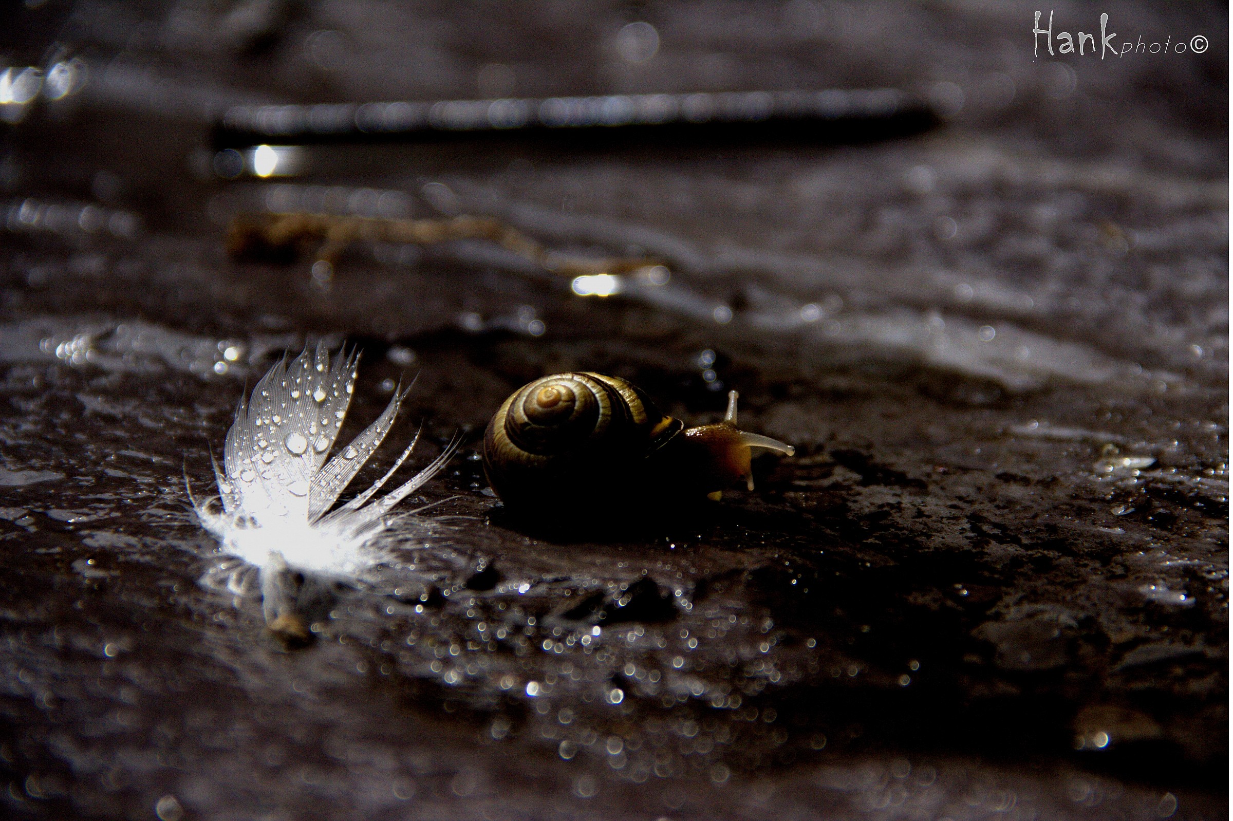 You float like a feather, in a beautiful world..