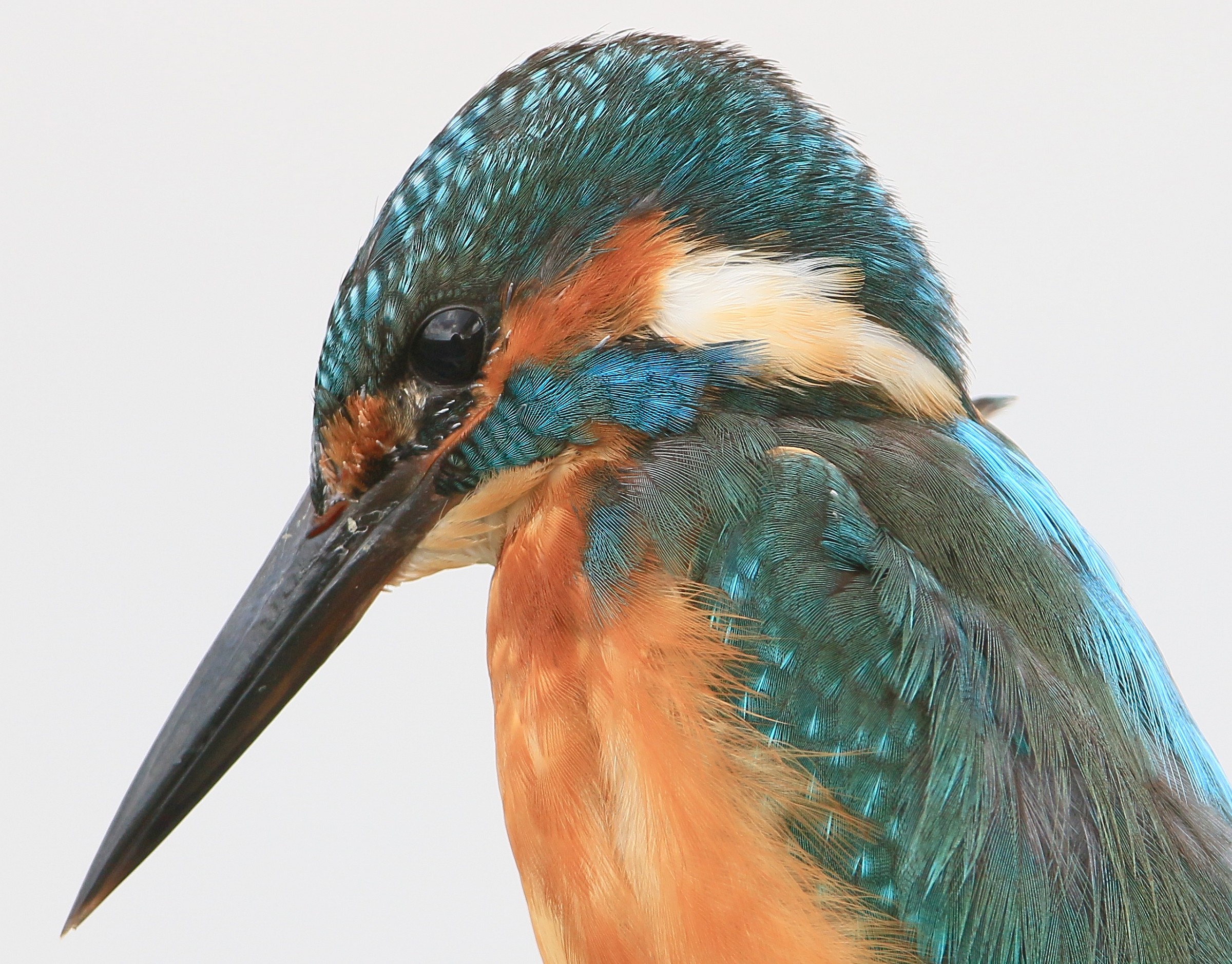 sempre + vicino sempre + nuvolo