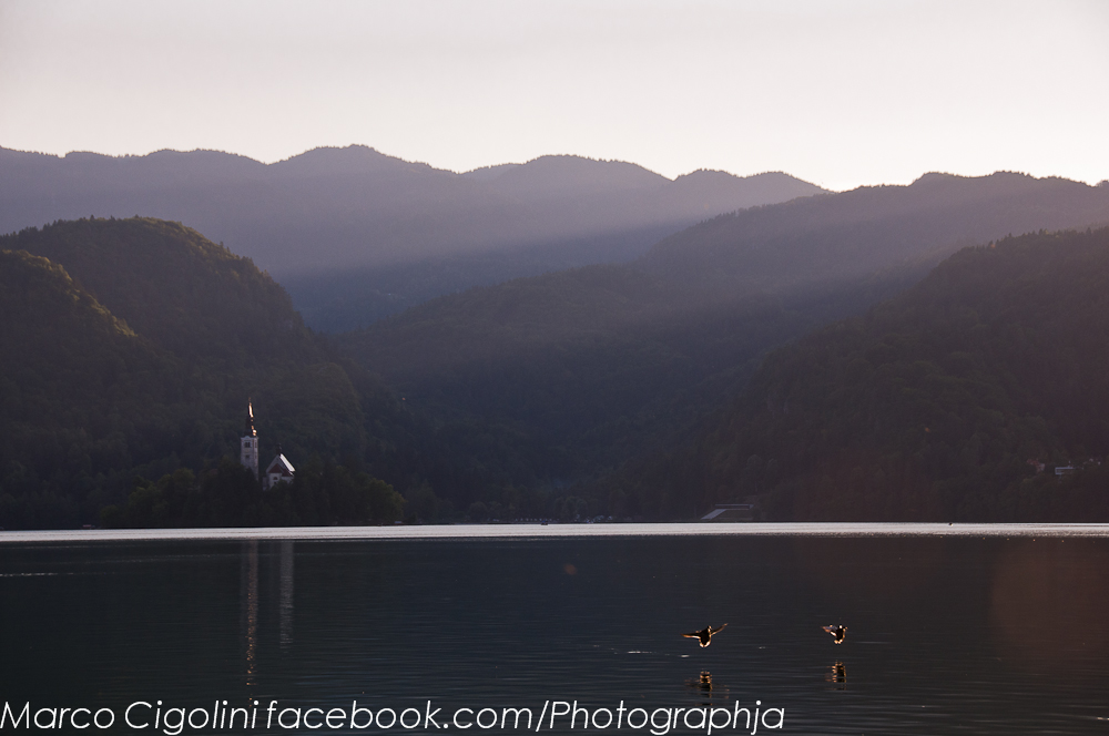 Water, air, light and life