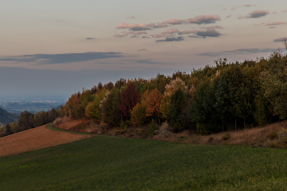 Ultime luci, grandi colori