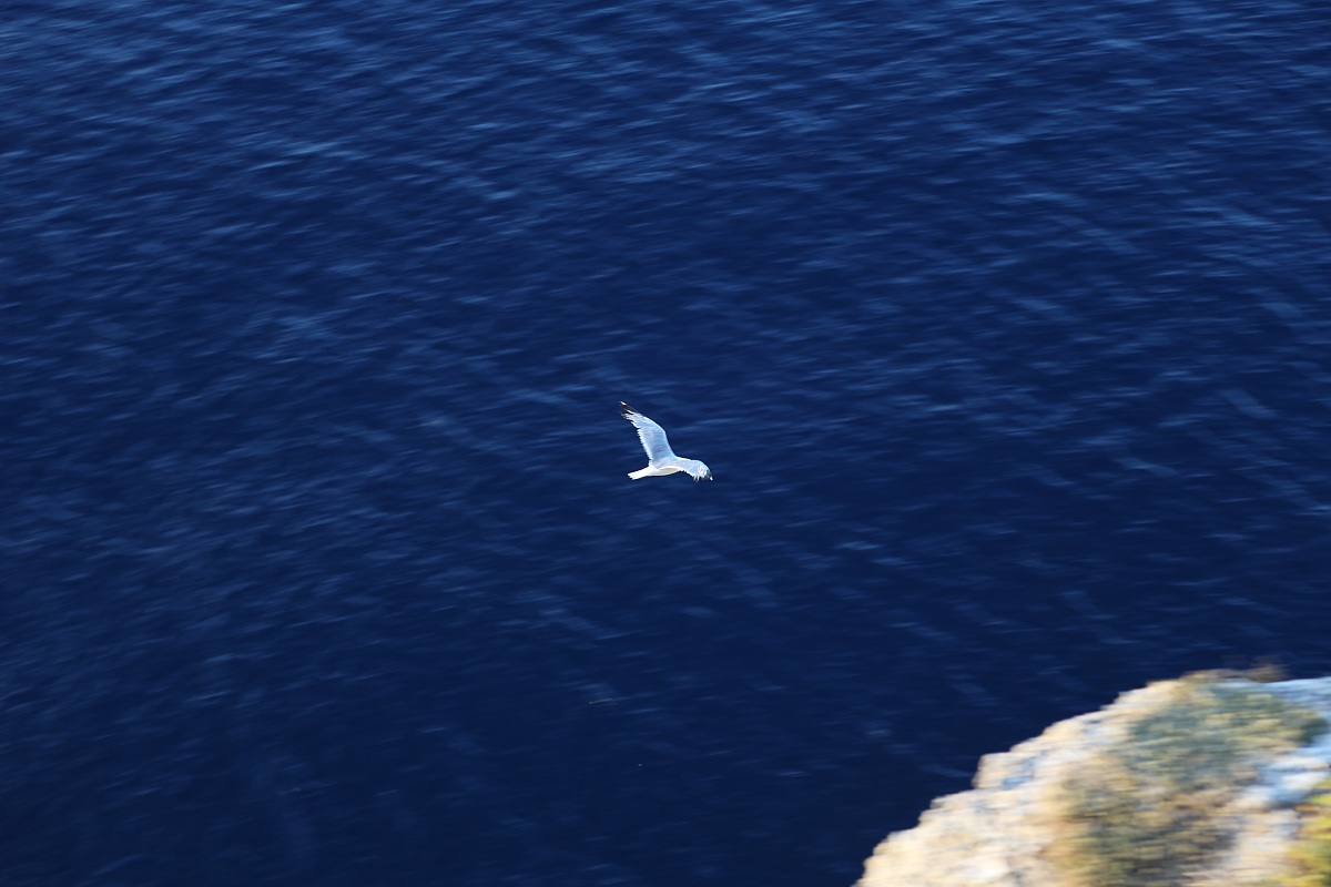 volo solitario lampedusa