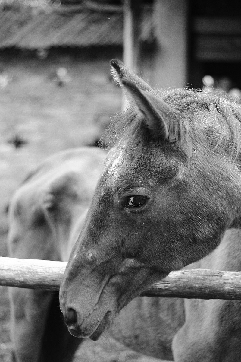 Questione di sguardi