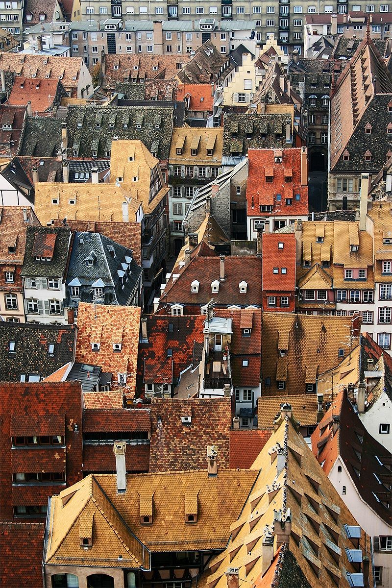 The Roofs of Strasbourg